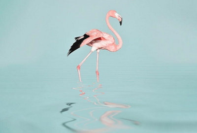As Creation Flamingo Water Digital 400Cm X 270Cm - image 1