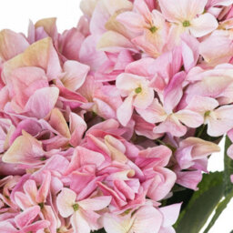 Hill Interiors Hydrangea Pink Shabby Faux Plant Bouquet - thumbnail 2