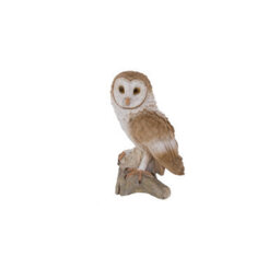 Terrastyle Brown, White, Natural Resin Barn Owl Garden Ornament (H)39.5Cm (W)17.5Cm