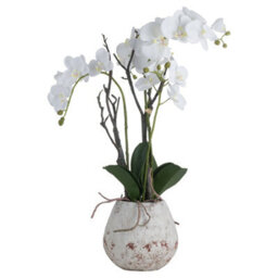 Hill Interiors Orchid In Stone Pot White (70 X 46 X 46Cm)