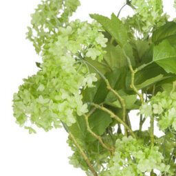 Hill Interiors Uk Homeliving Green Viburnum Spray - thumbnail 5
