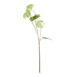 Hill Interiors Uk Homeliving Green Viburnum Spray - thumbnail 4