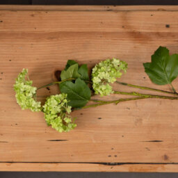 Hill Interiors Uk Homeliving Green Viburnum Spray - thumbnail 2