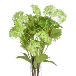 Hill Interiors Uk Homeliving Green Viburnum Spray - thumbnail 3