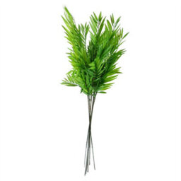 Leaf Pack Of 6 X 85Cm Bamboo Fern Stem - thumbnail 2