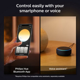 Philips Hue White Ambiance Enrave Pendant Black - thumbnail 6