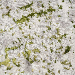 Loomed Olive Green Grey Tweed Floral Embossed Living Area Rug 120X170Cm - thumbnail 5