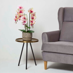Homescapes Realistic Artificial Pink Phalaenopsis Orchid Plant In Cement Pot, 3 Stems, 64 Cm Indoor Artificial Flower - thumbnail 7