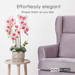 Homescapes Realistic Artificial Pink Phalaenopsis Orchid Plant In Cement Pot, 3 Stems, 64 Cm Indoor Artificial Flower - thumbnail 6