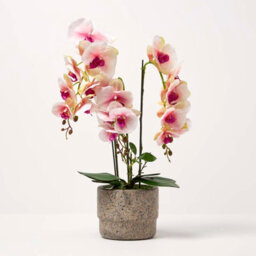 Homescapes Realistic Artificial Pink Phalaenopsis Orchid Plant In Cement Pot, 3 Stems, 64 Cm Indoor Artificial Flower