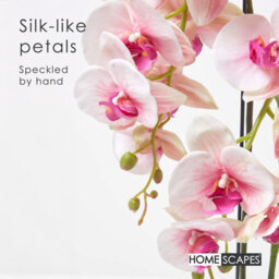 Homescapes Realistic Artificial Pink Phalaenopsis Orchid Plant In Cement Pot, 3 Stems, 64 Cm Indoor Artificial Flower - thumbnail 3