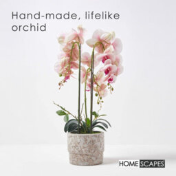 Homescapes Realistic Artificial Pink Phalaenopsis Orchid Plant In Cement Pot, 3 Stems, 64 Cm Indoor Artificial Flower - thumbnail 2