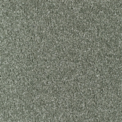 Remland Mullion Bleach Cleanable Deep Pile Carpet (Sage, 2M X 4M)