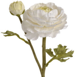Hill Interiors Uk Homeliving White Ranunculus Spray - thumbnail 4