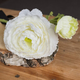 Hill Interiors Uk Homeliving White Ranunculus Spray - thumbnail 3