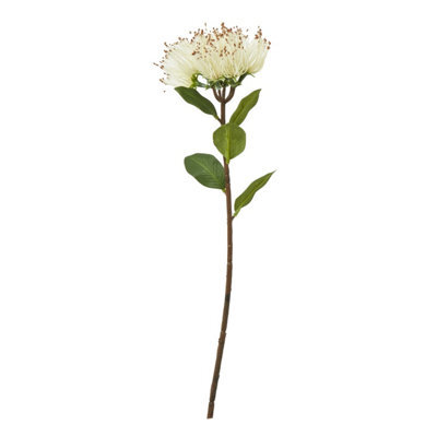 Wyld Haus Set Of 3 Cream Protea Nitida Artificial Flower Stems 450mm - image 1