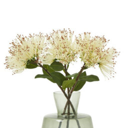 Wyld Haus Set Of 3 Cream Protea Nitida Artificial Flower Stems 450mm - thumbnail 3