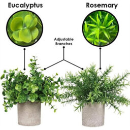 Set Of 4 Artificial Plants In Pots Faux Plant Foliage Eucalyptus - thumbnail 4