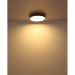 Luminosa Lighting Luminosa Doro 45Cm Flush Ceiling Light Silver Colored Led 3000K - thumbnail 4