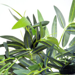Wyld Haus Marifa Tall Artificial Bamboo-Style Tree In Pot, 195Cm, Indoor Decorative Plant For Living Rooms And Offices - thumbnail 8