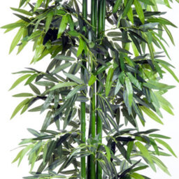 Wyld Haus Marifa Tall Artificial Bamboo-Style Tree In Pot, 195Cm, Indoor Decorative Plant For Living Rooms And Offices - thumbnail 9