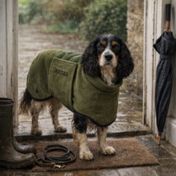 Rosewood Joules Khaki Drying Towel Coat - thumbnail 2