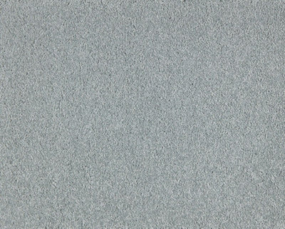 Soft Distinction Carpet By Remland (Teal Grey, 4M X 4M) - image 1