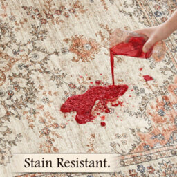 Bedlooms Timeless Cashmere Rug 160X230Cm, Vintage Floral Medallion, Anti-Slip, Stain Resistant, Bed & Dining Room Carpet - thumbnail 4