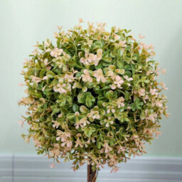 2 Artificial Plants Cream White - thumbnail 6