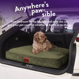 Slumberdown Dog Bed Medium, Green - thumbnail 7