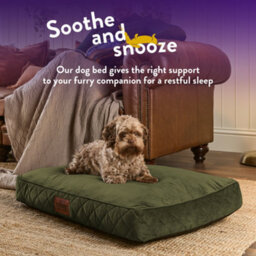 Slumberdown Dog Bed Medium, Green - thumbnail 4