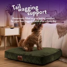Slumberdown Dog Bed Medium, Green - thumbnail 3