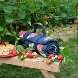 Summerhouse By Navigate Strawberries & Cream 175 X 140Cm Picnic Blanket Navy Quilted - thumbnail 4