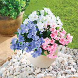 Gainsborough Set Of 3 Artificial Glowers, White, Pink & Purple Primula Picks, Weather-Resistant Fake Flowers For Indoor & Outdoor Use - thumbnail 1