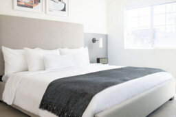 Camilla Collection Chenille Throw In Charcoal - thumbnail 2