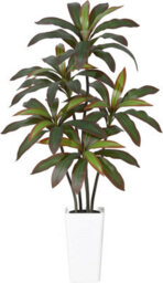 London Boutique 150 Cm Artificial Dracaena Tree, Faux Indoor Plant In Pot, Silk Leaves, Wood Trunk, Floor Tree Decor - thumbnail 9