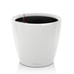 (Dia) 28Cm Round Plant Pot,  White High-Gloss Plastic Self-Watering Planter With Water Level Indicator Lechuza Classico D28 H26 Cm