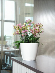 (Dia) 28Cm Round Plant Pot,  White High-Gloss Plastic Self-Watering Planter With Water Level Indicator Lechuza Classico D28 H26 Cm - thumbnail 9