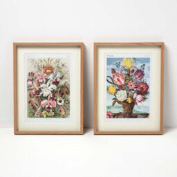 Homescapes Original Wall Decoration Botanical Flowers Set Of Decorative Frames - thumbnail 1
