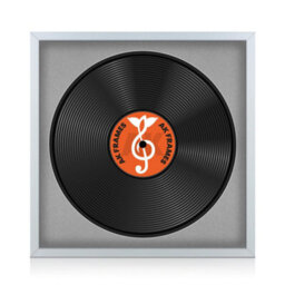 "16X16"" Silver Sleek Vinyl Record Frame With Silver Mount For 12 Inch Lp Disc - Ak Frames"