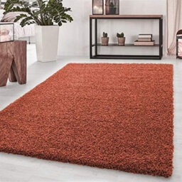 Abaseen 60X110 Cm Terracotta Shaggy Rug - Soft Touch Thick Pile Modern Rugs - Washable Area Rugs For Home And Office - thumbnail 1