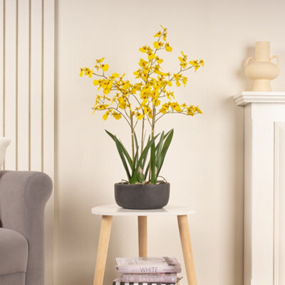 Scottish Everlastings Ltd. Scottish Everlastings Artificial 71Cm Real Touch Yellow Dancing Orchid In Ceramic Pot - image 1