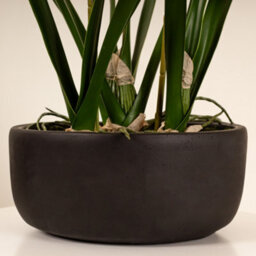 Scottish Everlastings Ltd. Scottish Everlastings Artificial 71Cm Real Touch Yellow Dancing Orchid In Ceramic Pot - thumbnail 3