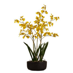 Scottish Everlastings Ltd. Scottish Everlastings Artificial 71Cm Real Touch Yellow Dancing Orchid In Ceramic Pot - thumbnail 4