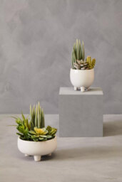 Orsina Fiori Mixed Succulents In Large Ceramic Pot Artificial Plant Foliage - thumbnail 7