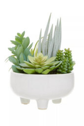 Orsina Fiori Mixed Succulents In Large Ceramic Pot Artificial Plant Foliage