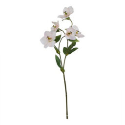 Hill Interiors The Natural Garden Collection Hellebore Artificial Flower Pale Apricot (One Size)