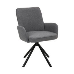Darphe Modern Upholstered Leisure Chair Swivel Chair With Metal Legs