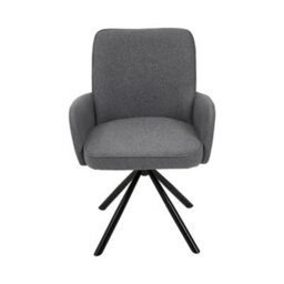 Darphe Modern Upholstered Leisure Chair Swivel Chair With Metal Legs - thumbnail 2