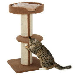 Pawhut 91Cm Scratching Posts Cat Tree Activity Centre For Indoor Cats Brown - thumbnail 2